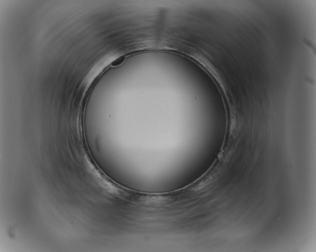 X0000101211293200807111024