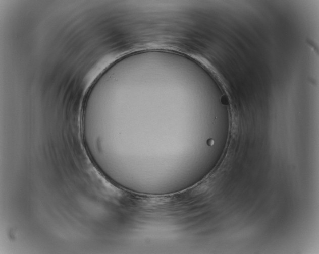 X0000101211294200807111024