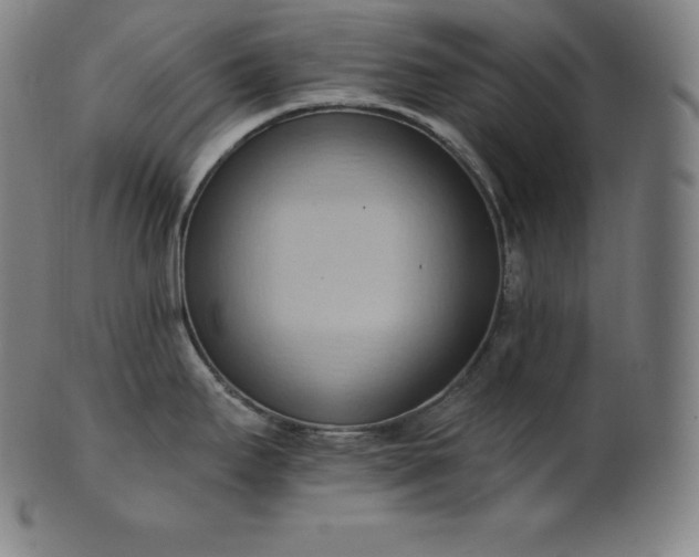 X0000101211295200807111024