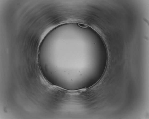 X0000101211296200807111024