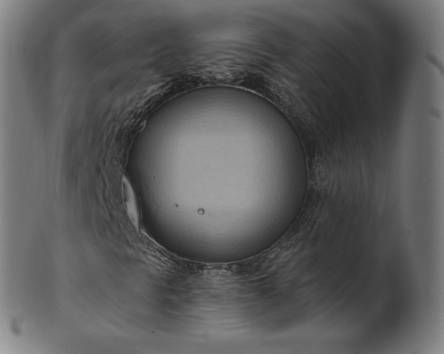 X0000101211297200807111023