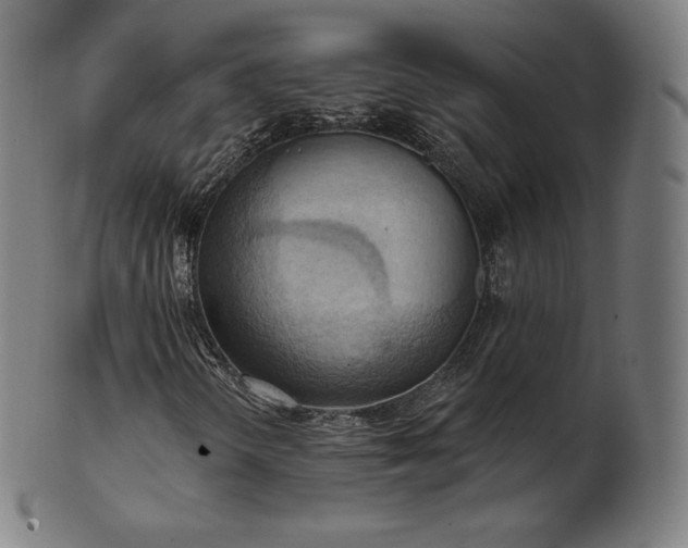 X0000101211298200807111023