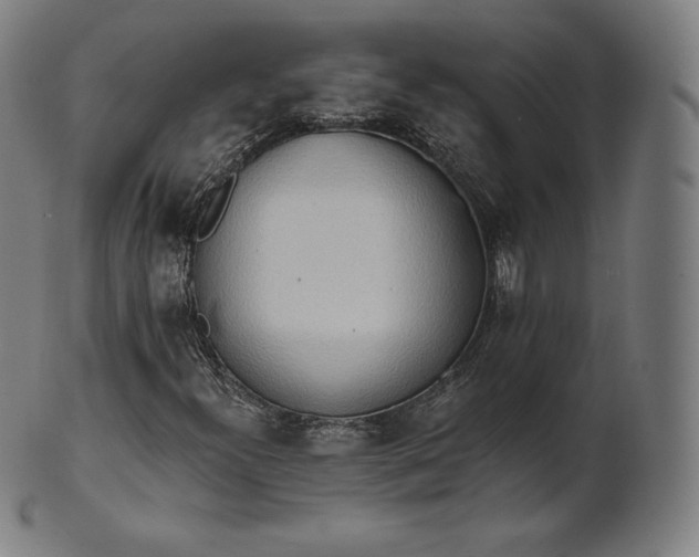 X0000101211300200807111023