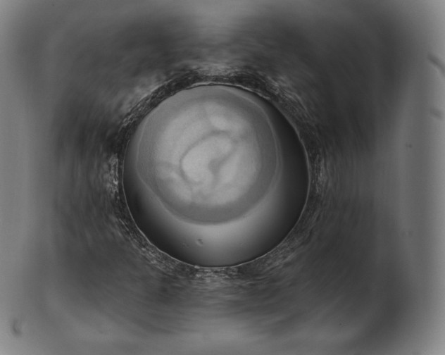 X0000101211301200807111023