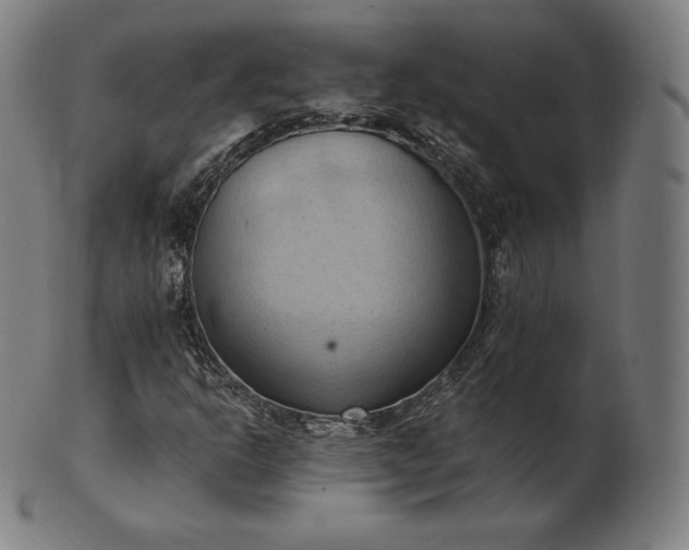 X0000101211302200807111023