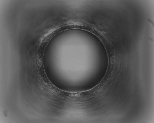 X0000101211303200807111023