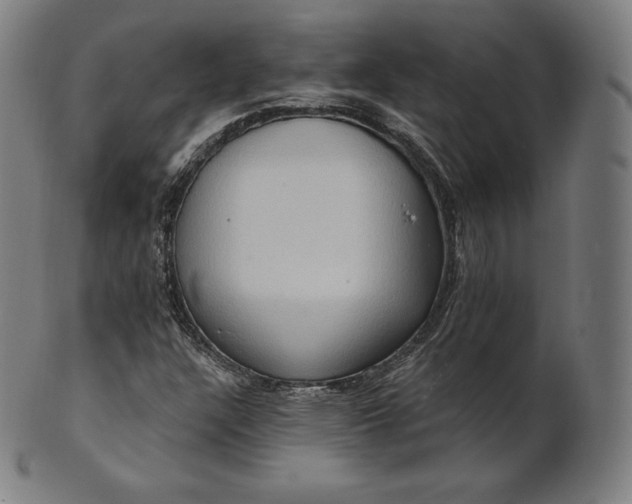 X0000101211304200807111023