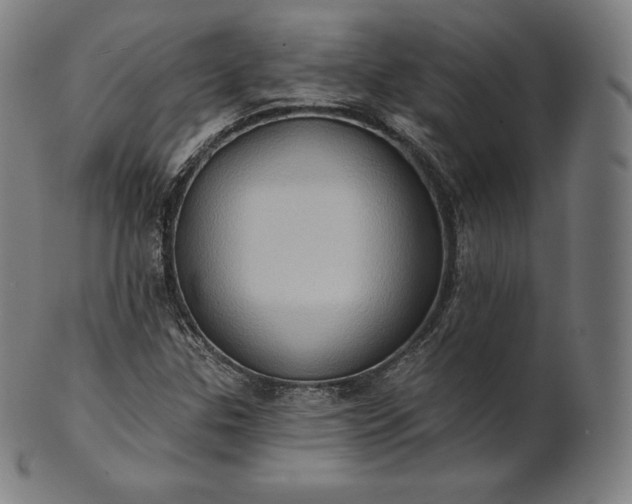 X0000101211307200807111023