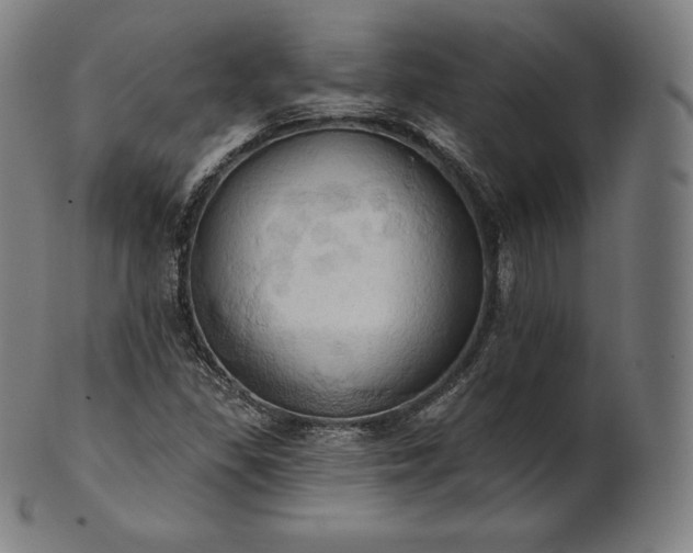 X0000101211309200807111023