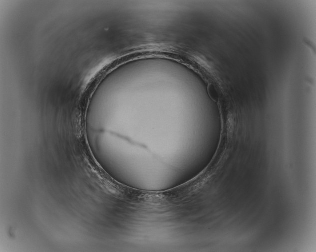 X0000101211310200807111023