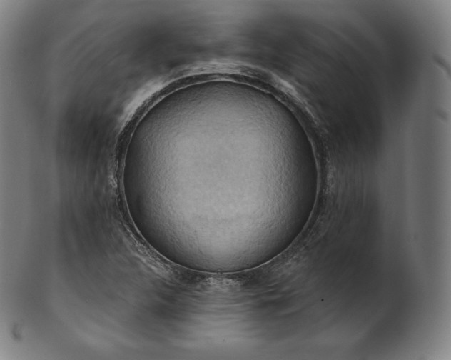 X0000101211312200807111023