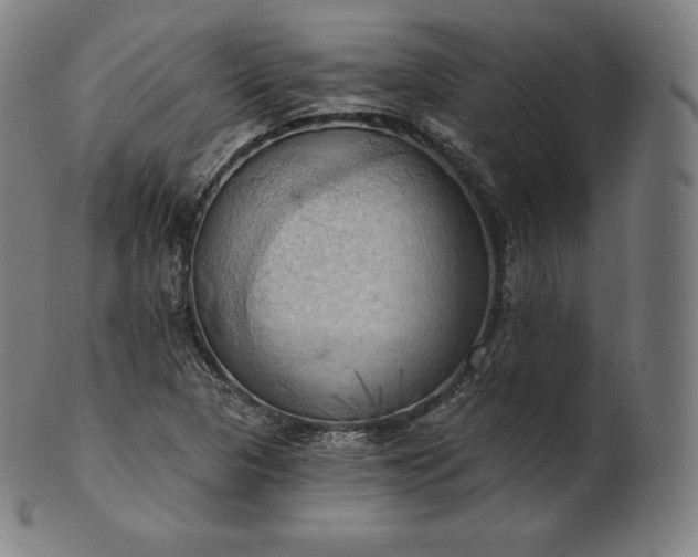 X0000101211313200807111023