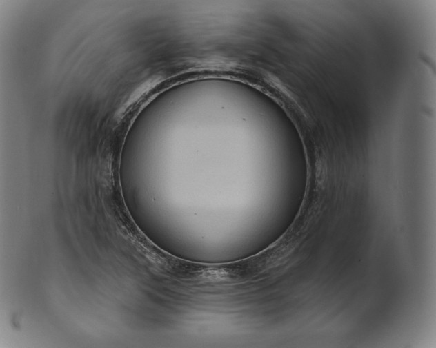 X0000101211315200807111023