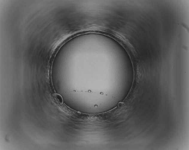 X0000101211316200807111023