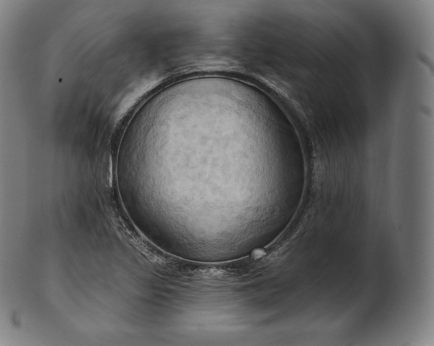 X0000101211317200807111023