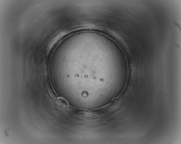 X0000101211318200807111023