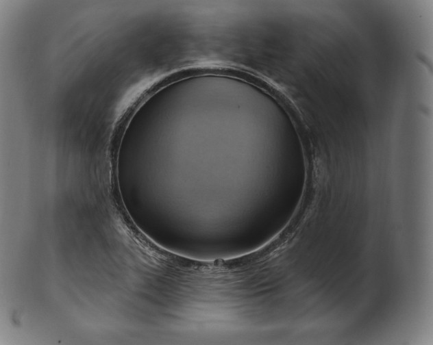 X0000101211319200807111023