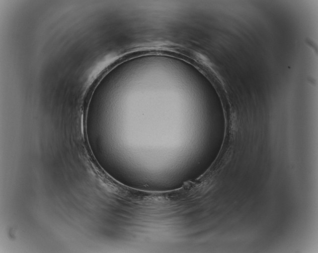 X0000101211320200807111023