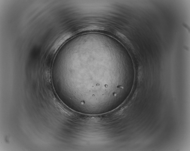 X0000101211321200807111023