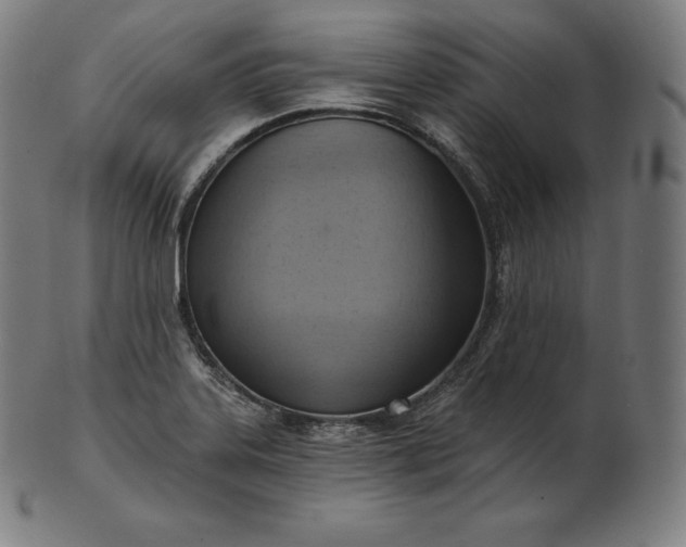 X0000101211323200807111023