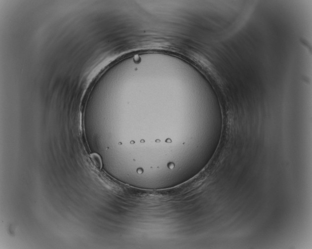 X0000101211324200807111024