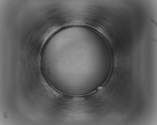 X0000101211325200807111024