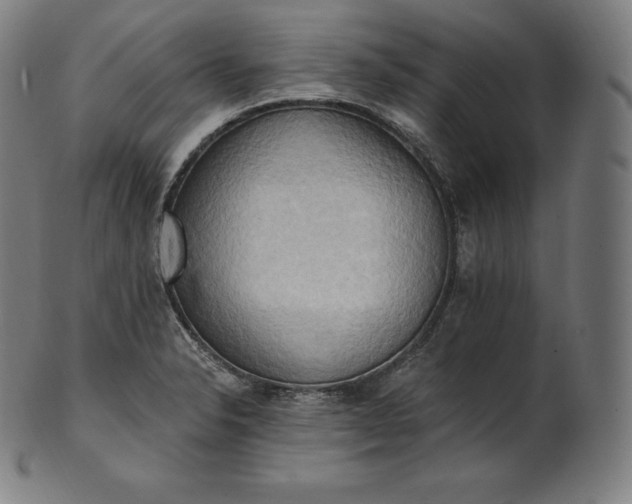 X0000101211326200807111024