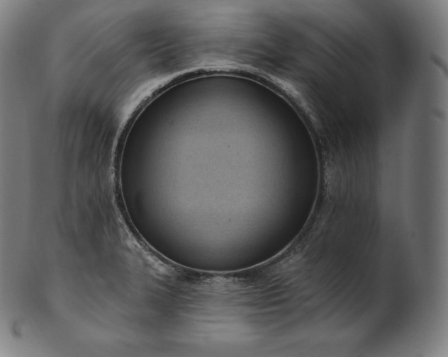 X0000101211327200807111024