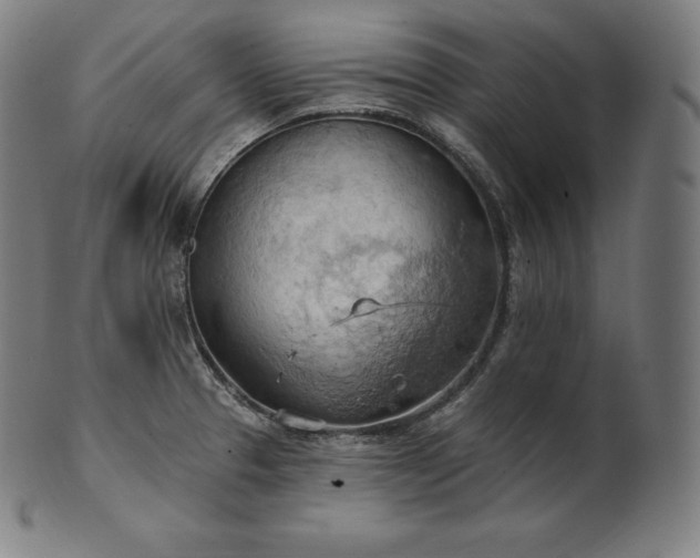 X0000101211329200807111024