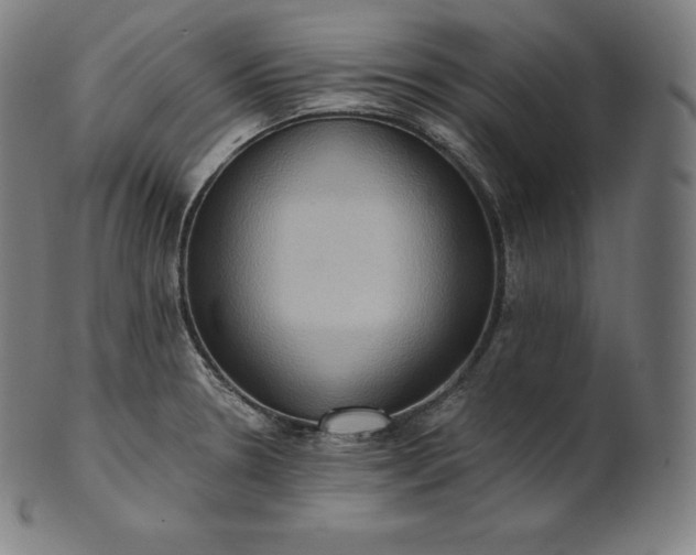 X0000101211330200807111024