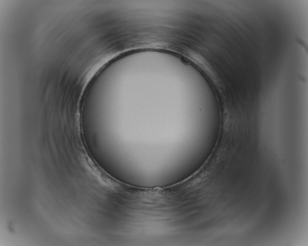 X0000101211332200807111024