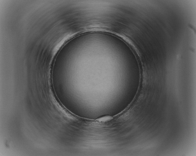 X0000101211333200807111024