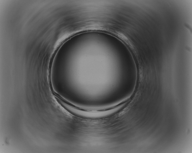 X0000101211334200807111024