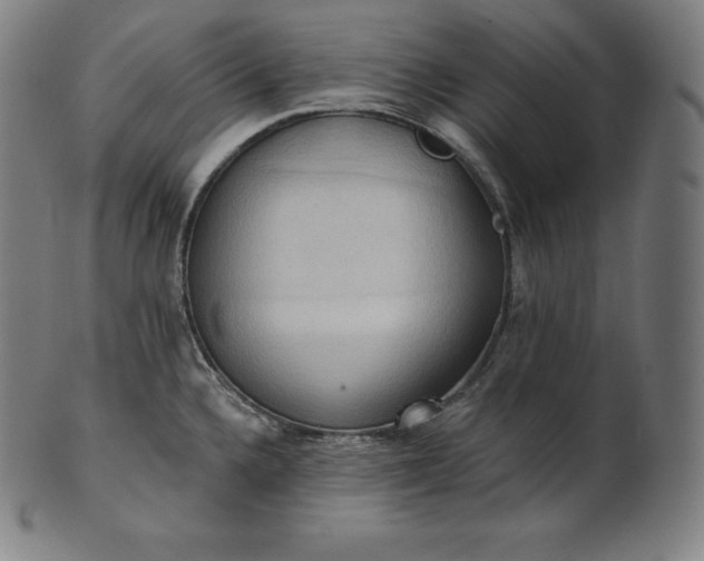 X0000101211336200807111024