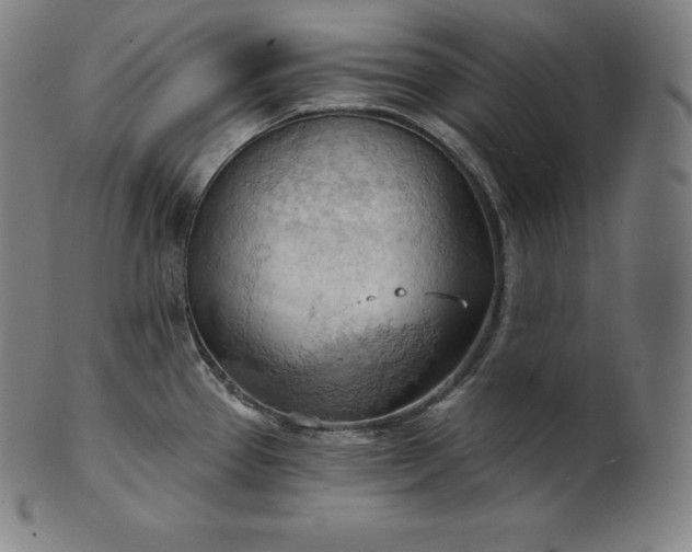 X0000101211337200807111024