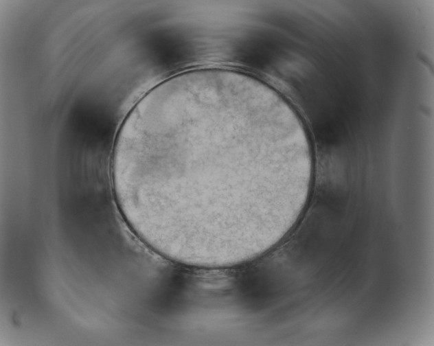 X0000101211338200807111024