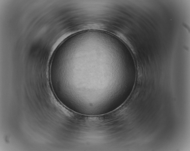 X0000101211339200807111024