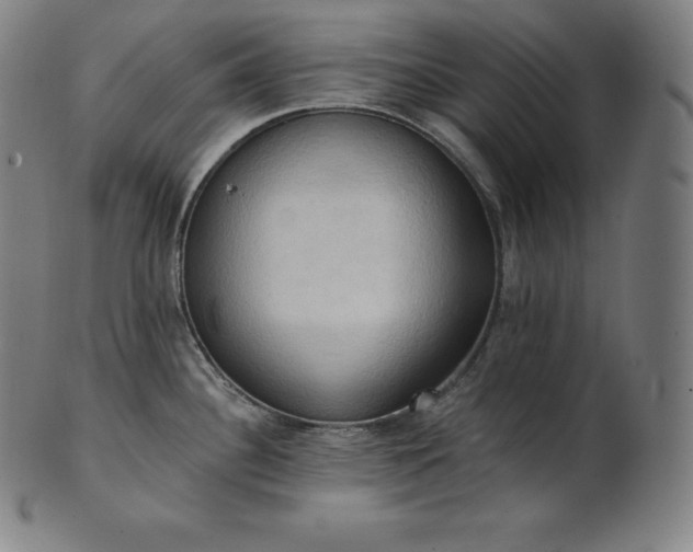 X0000101211340200807111024