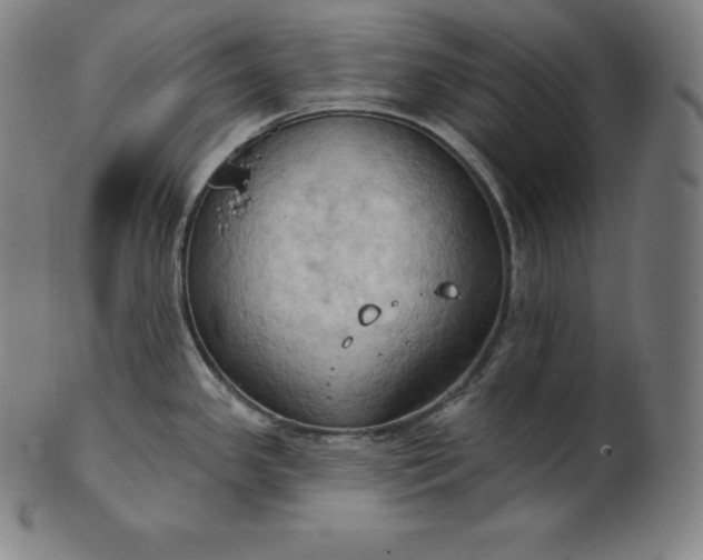 X0000101211341200807111024