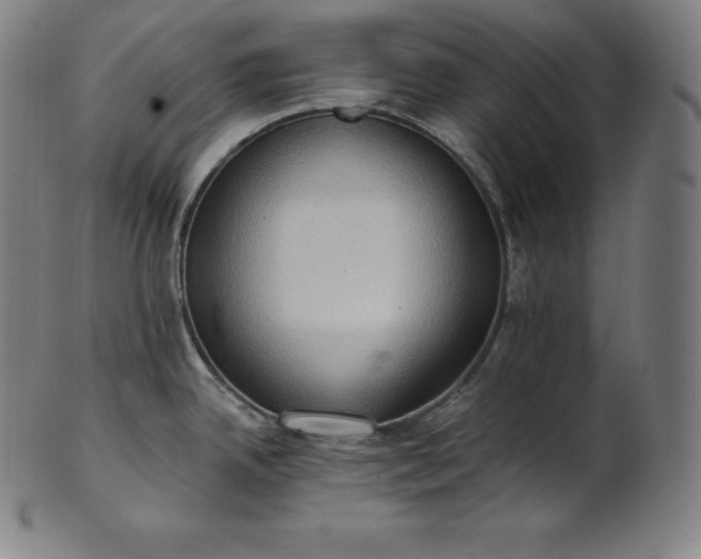 X0000101211342200807111024