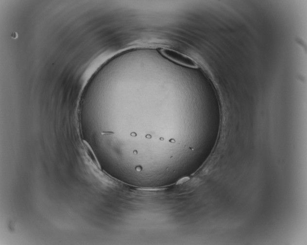 X0000101211344200807111024