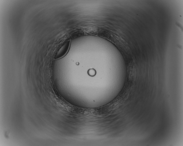 X0000101211345200807111023