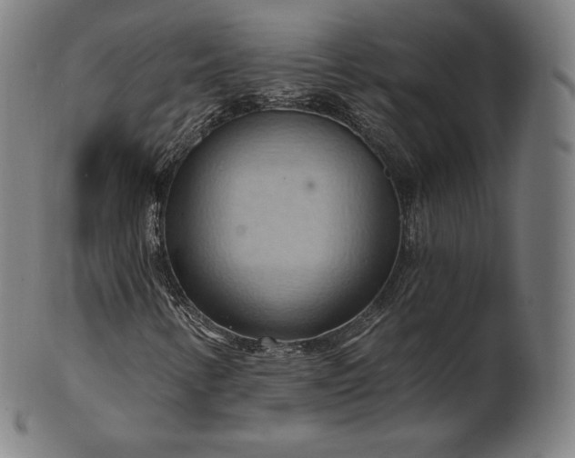 X0000101211346200807111023