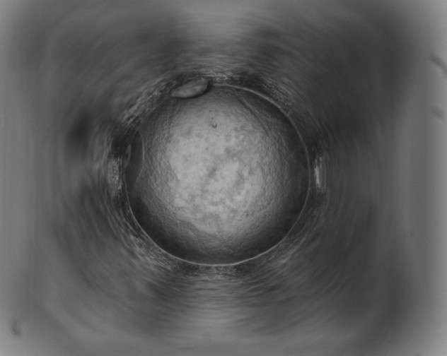 X0000101211347200807111023