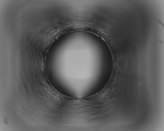 X0000101211348200807111023