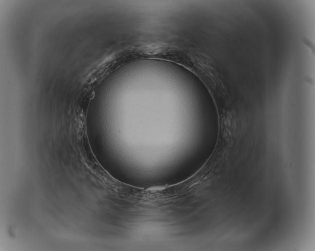 X0000101211349200807111023