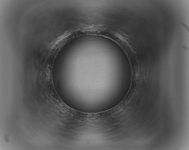 X0000101211350200807111023