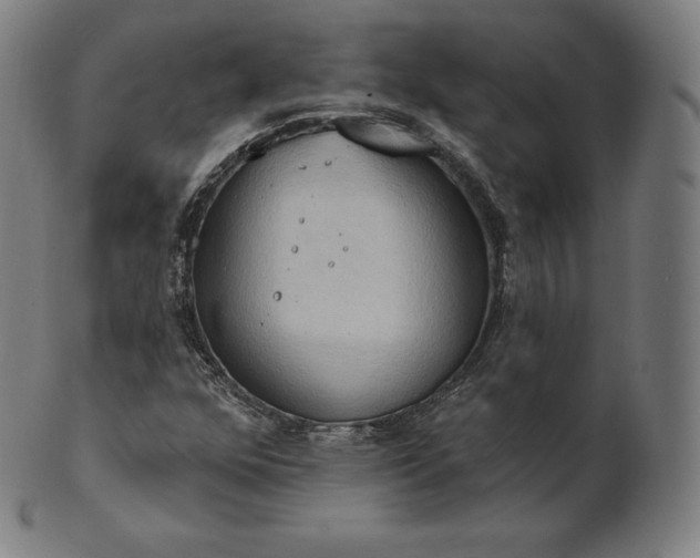 X0000101211352200807111023