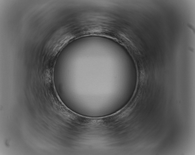 X0000101211353200807111023