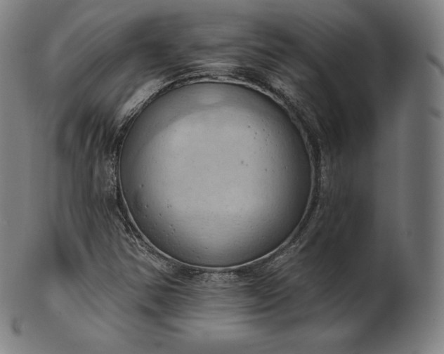 X0000101211354200807111023